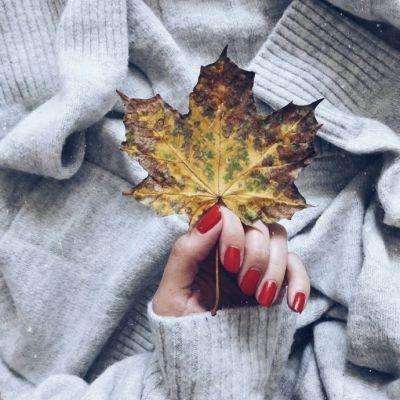 澳门威尼斯人软件