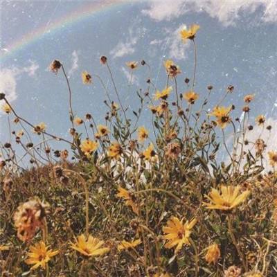 新澳门六开彩资料大全下载手机版